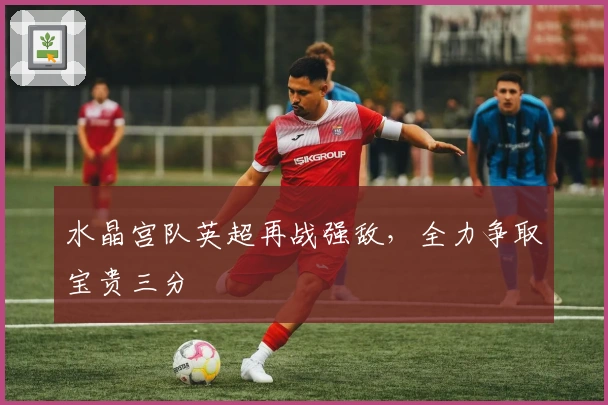 水晶宫队英超再战强敌，全力争取宝贵三分