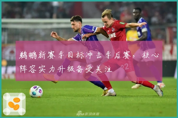 鹈鹕新赛季目标冲击季后赛，核心阵容实力升级备受关注