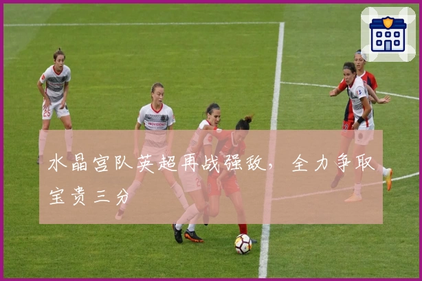 水晶宫队英超再战强敌，全力争取宝贵三分